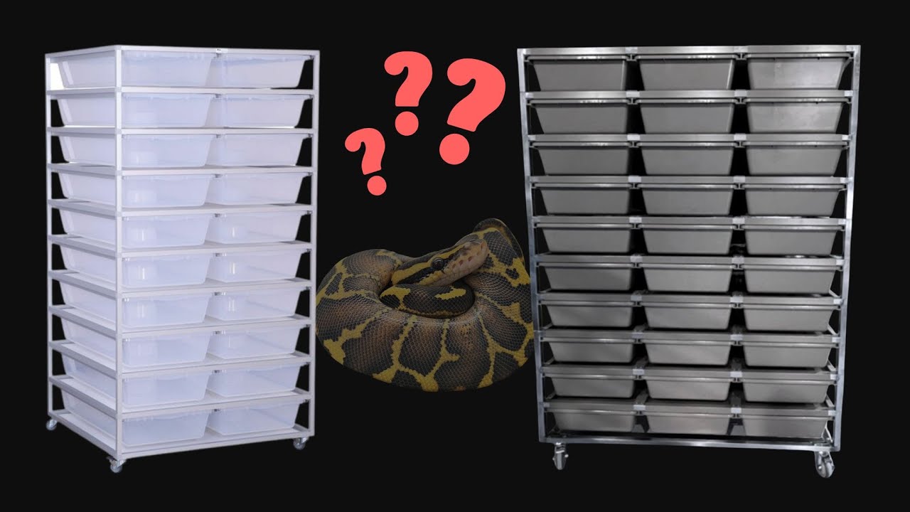 METAL vs PLASTIC!! Which Snake Rack Should You Have?