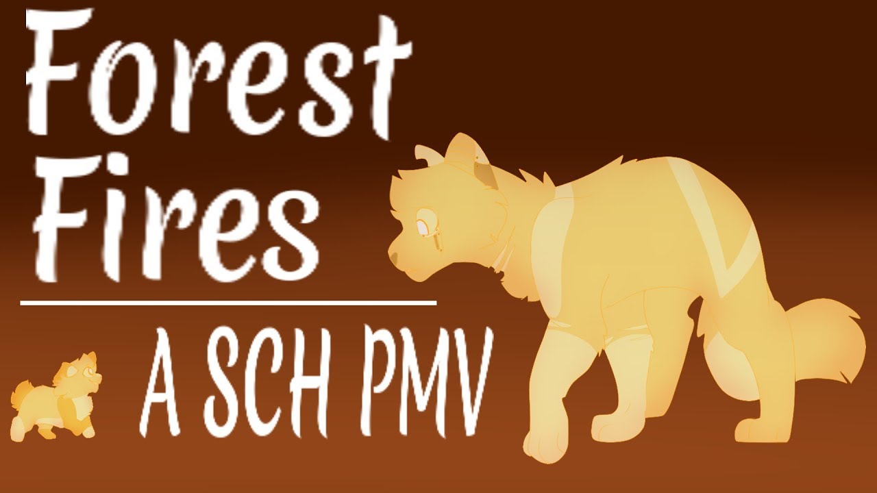 Forest Fires | An SCH AU PMV