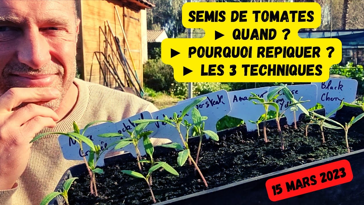 C'est LE moment de semer nos tomates #potager #mars 2023