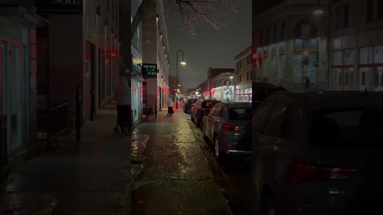 Árboles cristalizados en Montreal 