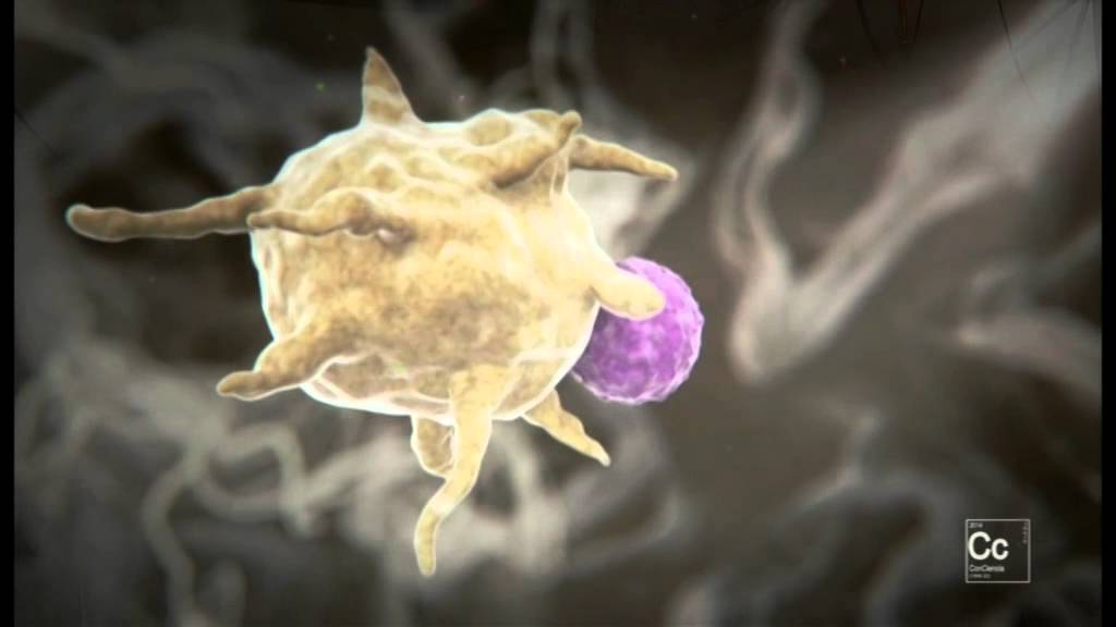 Micromundos: Nano Ciencia