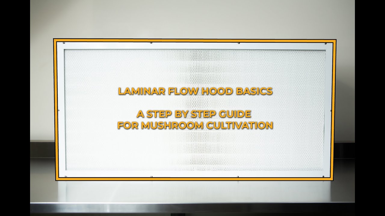 Increase the success of your mushroom grow using the Laminar Flow Hood.
