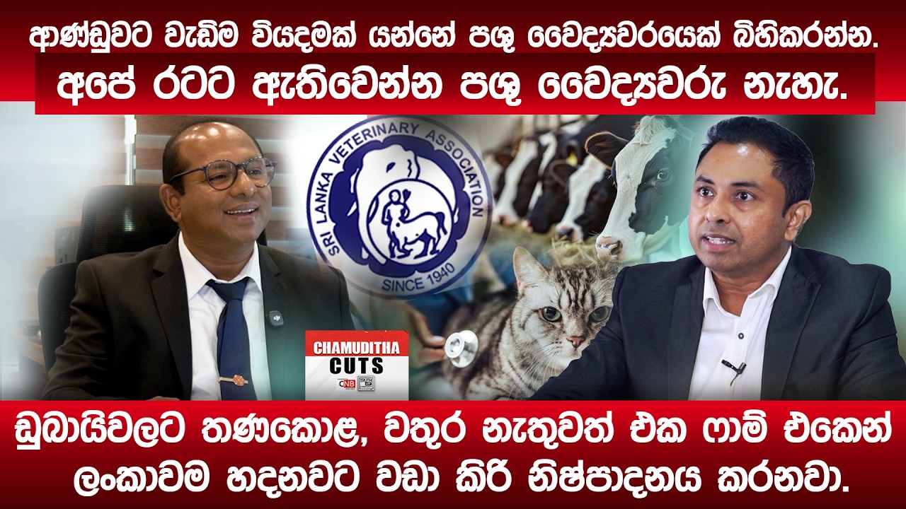 ඩුබායිවලට  තණකොළ, වතුර නැතුවත් එක ෆාම් එකෙන් ලංකාවම හදනවට වඩා කිරි නිෂ්පාදනය කරනවා.