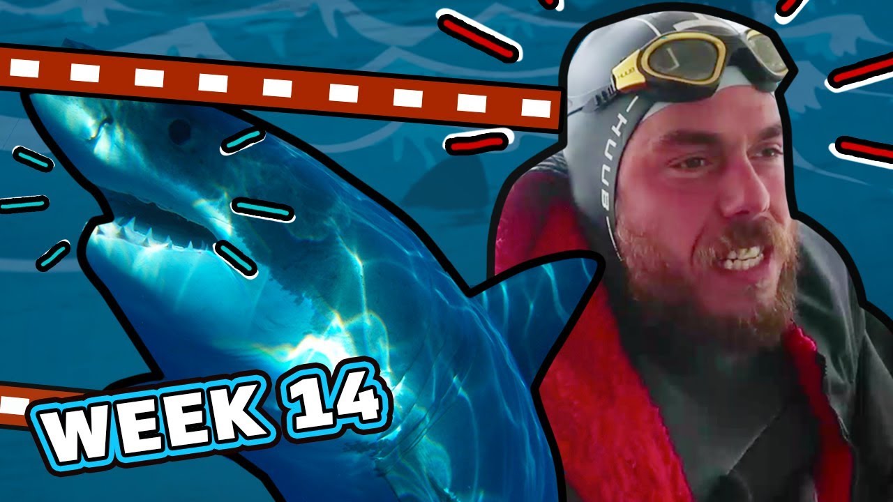 Shock Encounter With A Shark | Ross Edgley's Great British Swim: E14