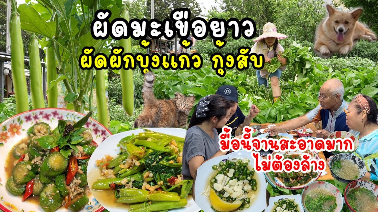 EP.673 ผัดมะเขือยาวหมูสับยังไงสีสวยไม่ดำ ผัดผักบุ้งเเก้วกุ้งสับ ราดพริกน้ำปลา เกลี้ยงจานไม่เหลือเลย