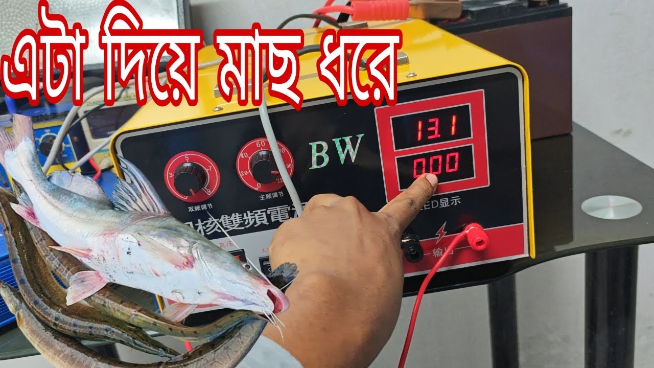 ২০২৬ সালের সেরা বড় মাছ ধরার মেশিন Top Fish shock Electric big machine