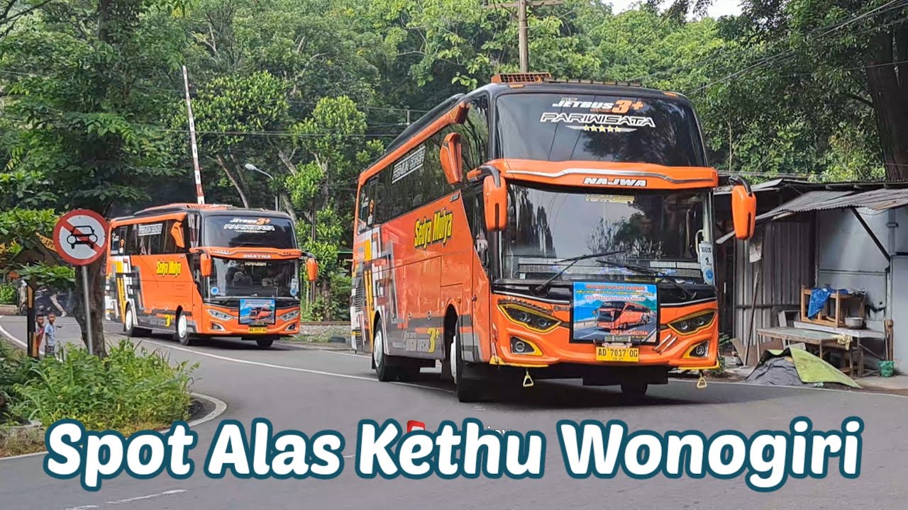 Meriah BUS PARIWISATA Baris di Alas Kethu Wonogiri