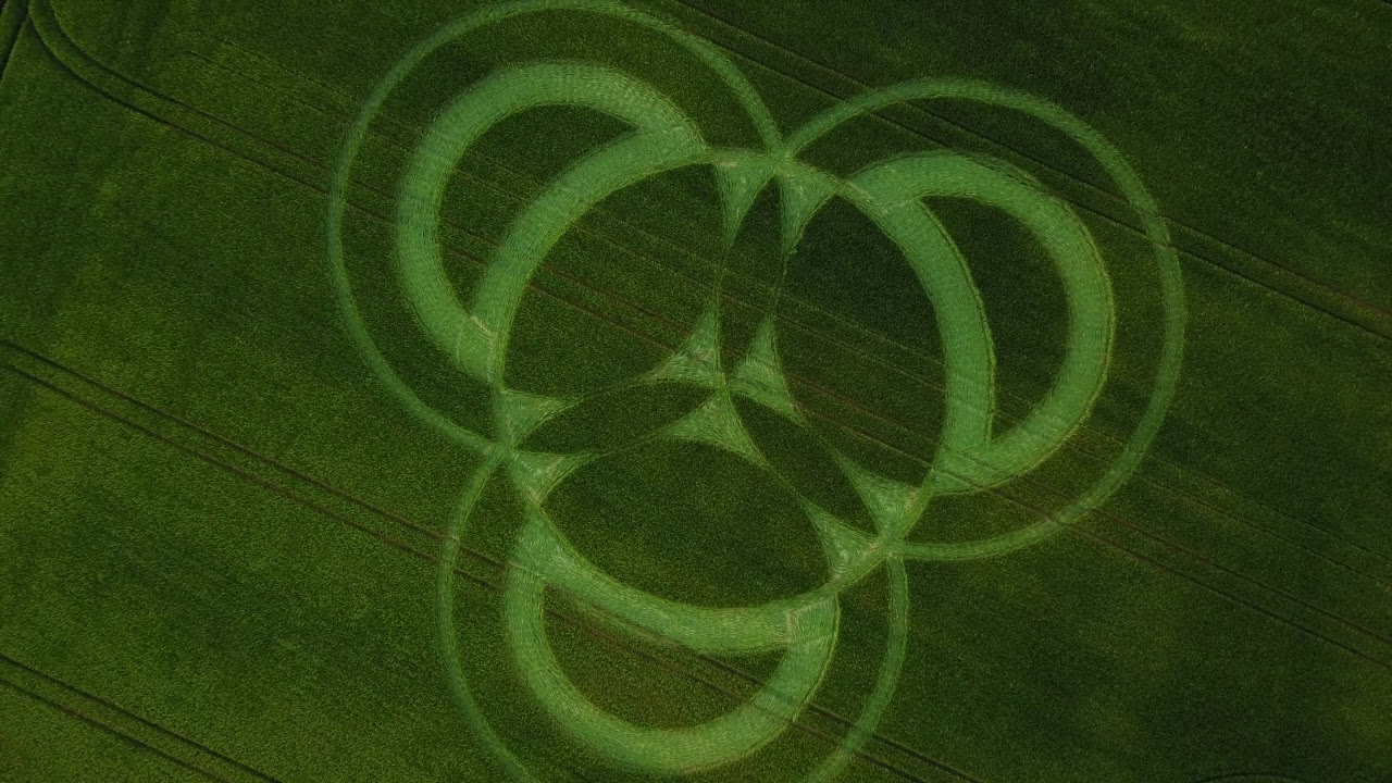Crop Circle Littleton, Winchester 2019