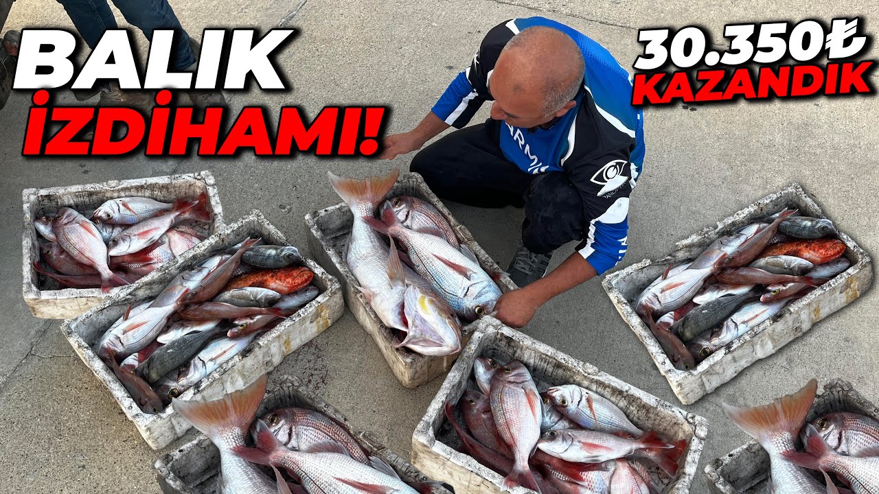 GÖKÇEADA'DA BALIK İZDİHAMI! | MERCANDAN KÖŞEYİ DÖNDÜK! | İĞNE İĞNEYE DEVLER GELDİ!