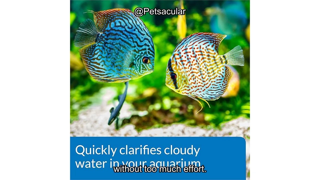 API ACCU-CLEAR Freshwater Aquarium Water Clarifier Review: Is It Worth the Hype?