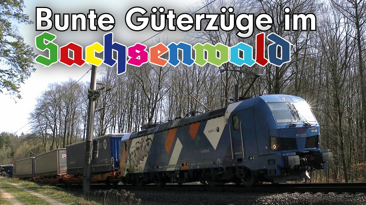 Bunte Güterzüge im Sachsenwald. Frühling 2021. German + foreign freight trains in Bismarck's forest.