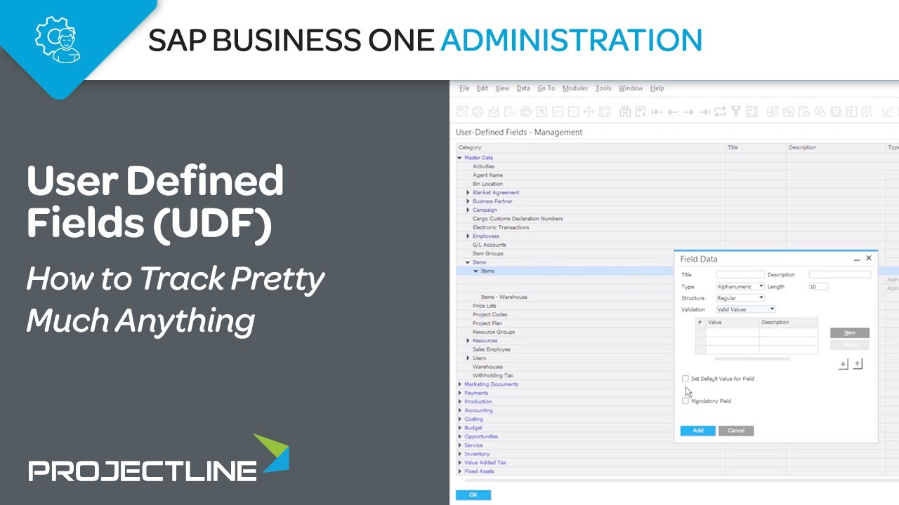 SAP Business One UDF | How to Track Pretty Much Anything with User Defined Fields
