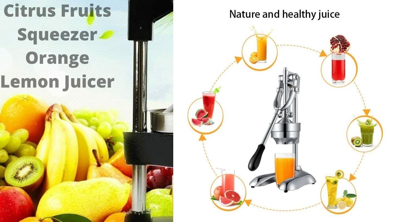 Best Professional Manual Citrus Juicer