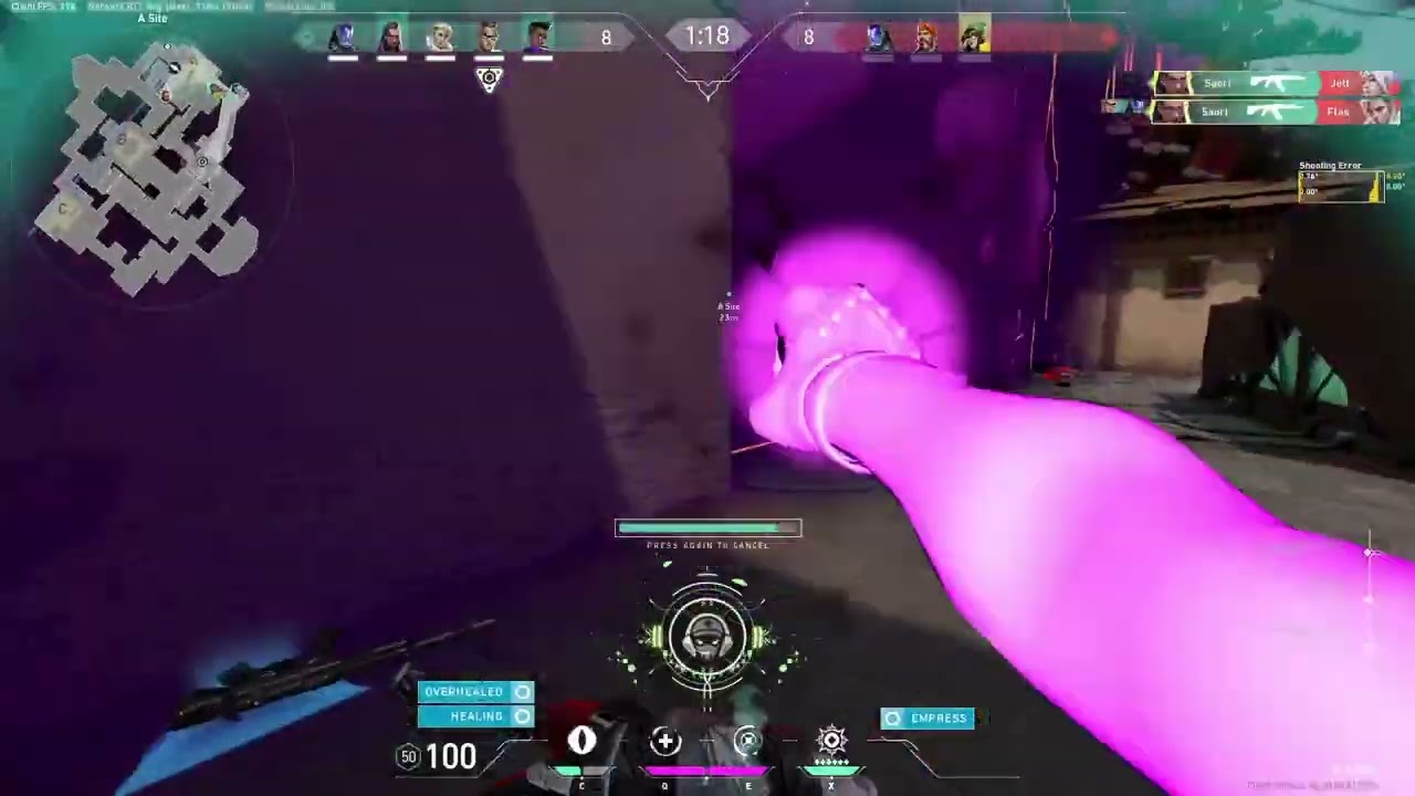 Your Average FPS VTuber
