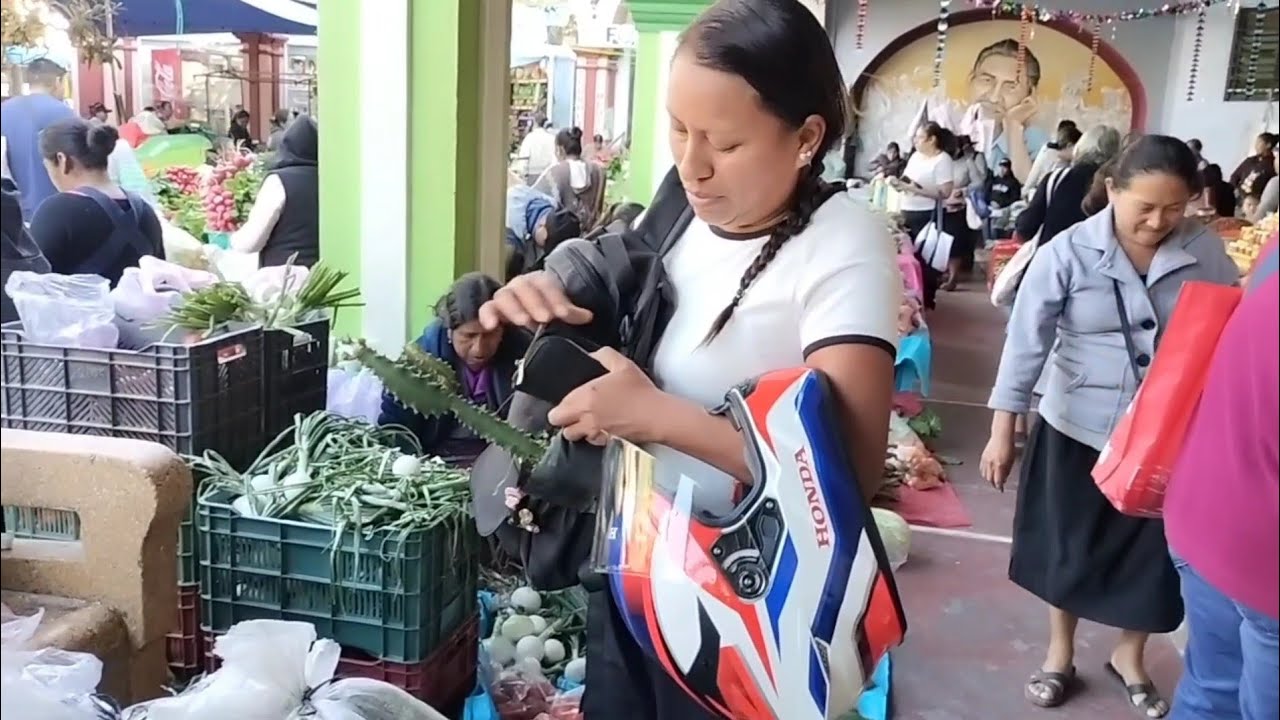 LAS PLANTITAS QUE COMPRE EN UN DÍA DE PLAZA🌱🌵, esto es lo que pude  comprar con 100 pesos 💵