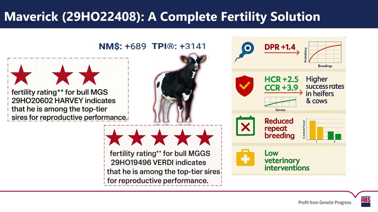 Suboptimal Fertility in Dairy Herds | Expert Talk by Dr. Satish Kognole | ABS India
