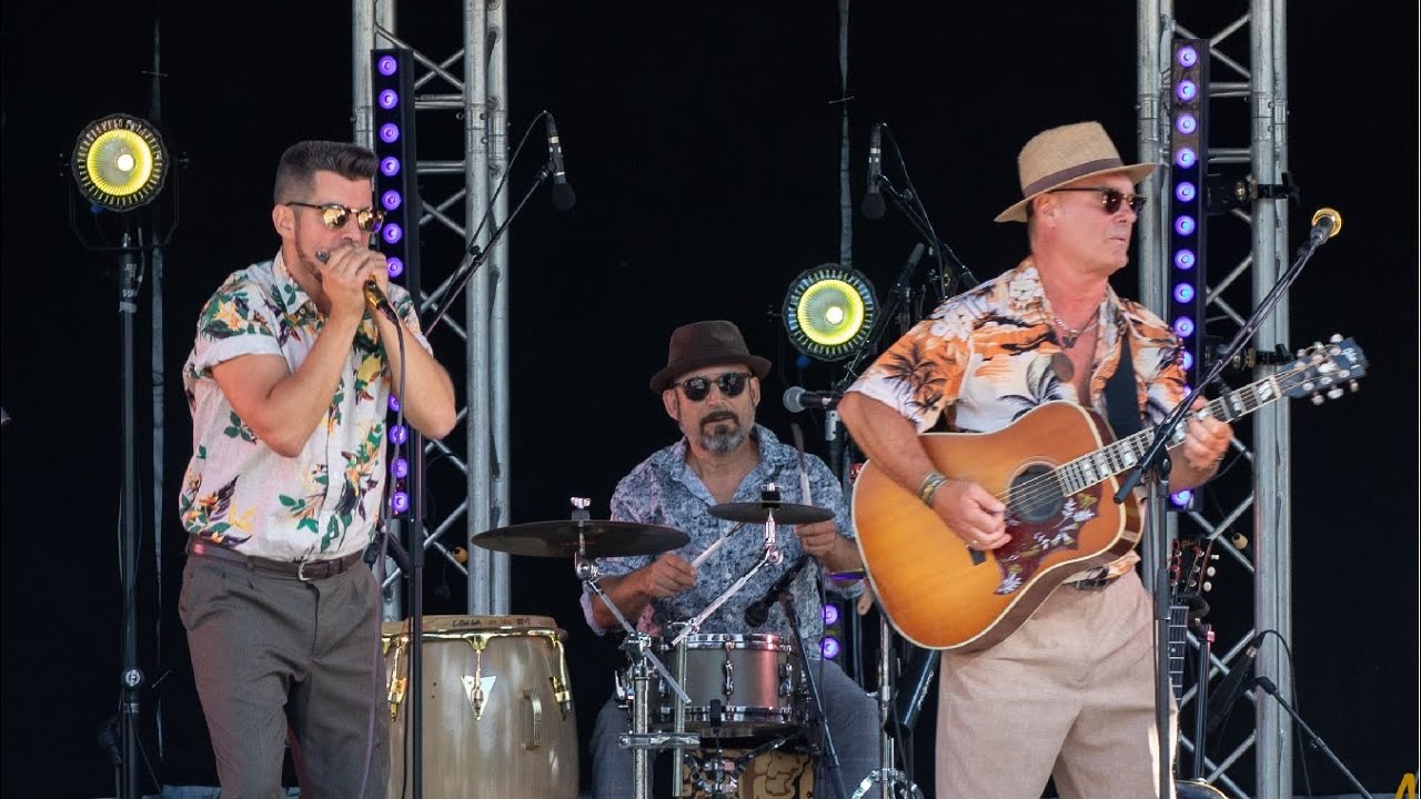 Doc Lou & The Roosters | Live @ Rdv de l'Erdre