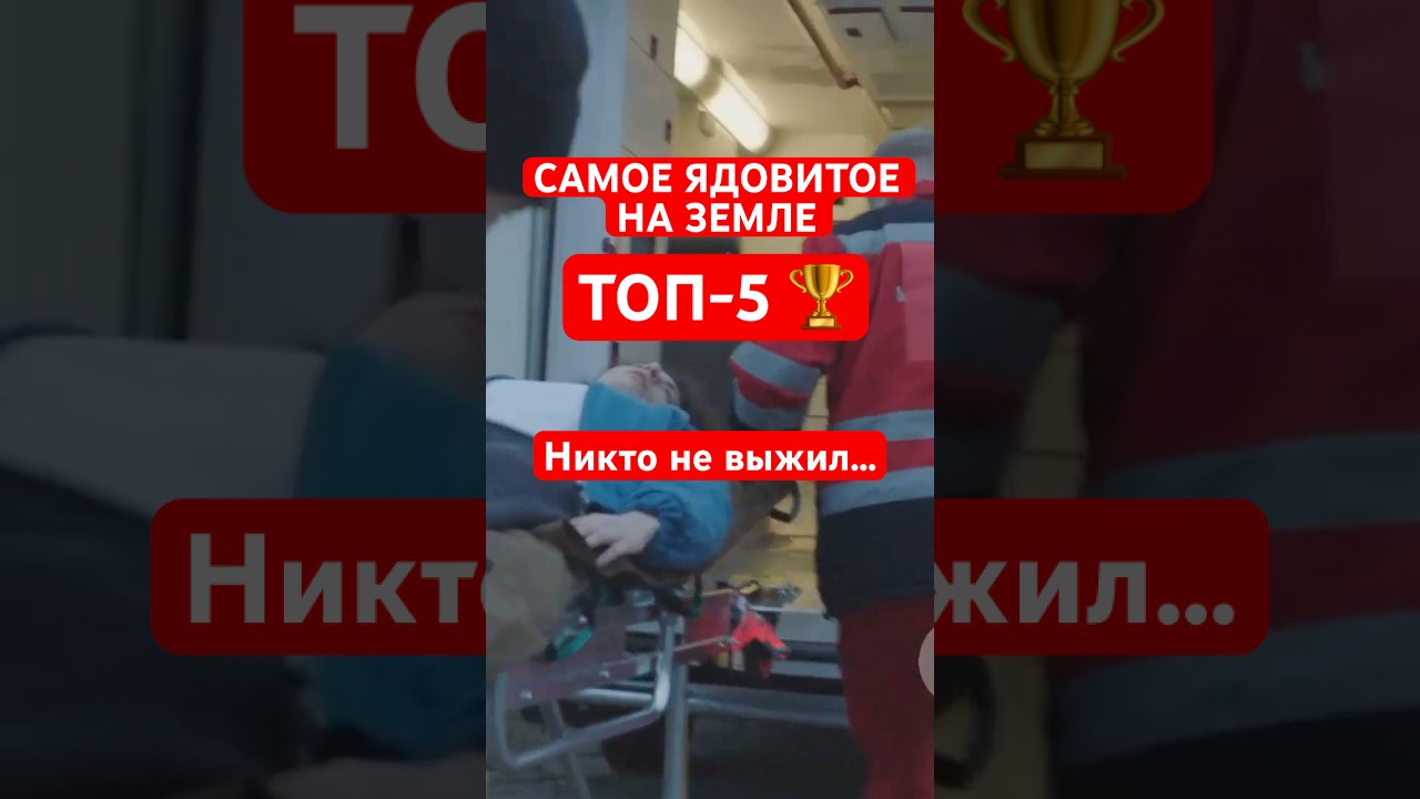 Самые ОПАСНЫЕ грибы в мире | ТОП-5 | Часть 1