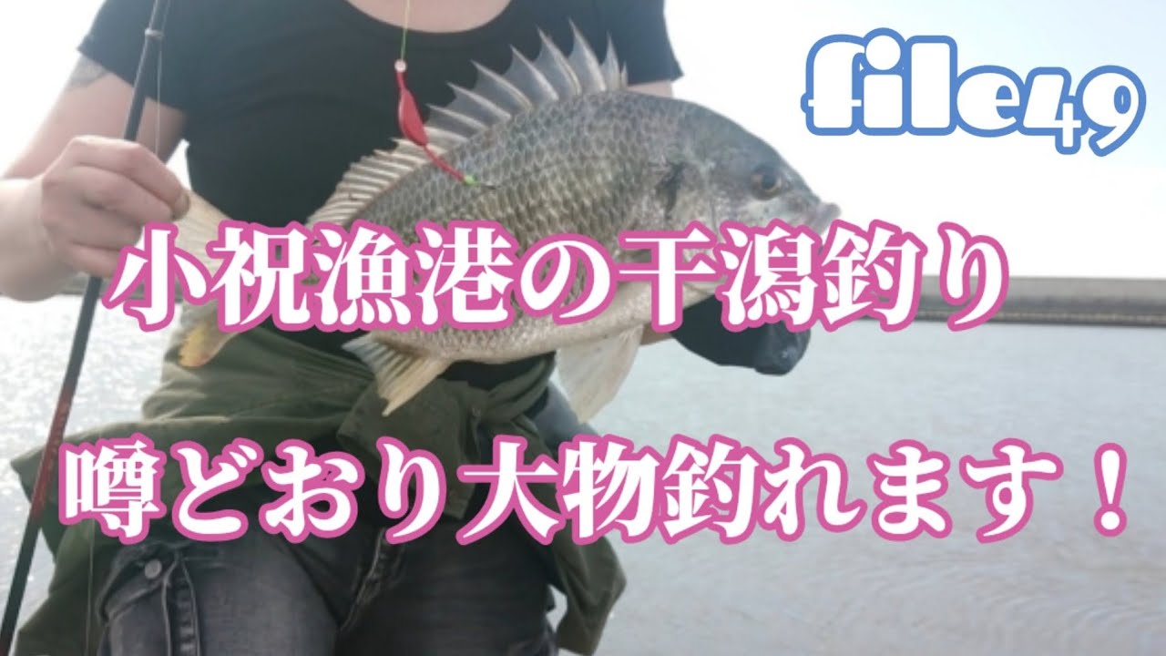 file49 【干潟釣り】大分県中津市小祝漁港の干潟は大物だらけ！
