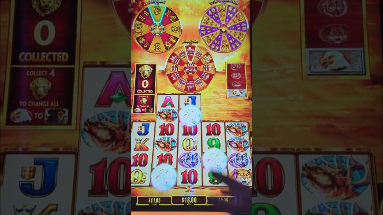 Buffalo Ascension and Buffalo Wheels of Rewards #buffaloascension #buffalogoldcollection #gambling