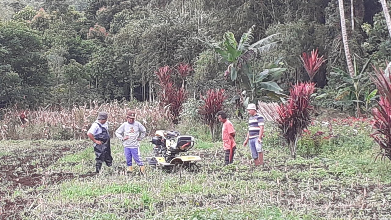 sukoi farms & local kakaskasen raya farms 2026