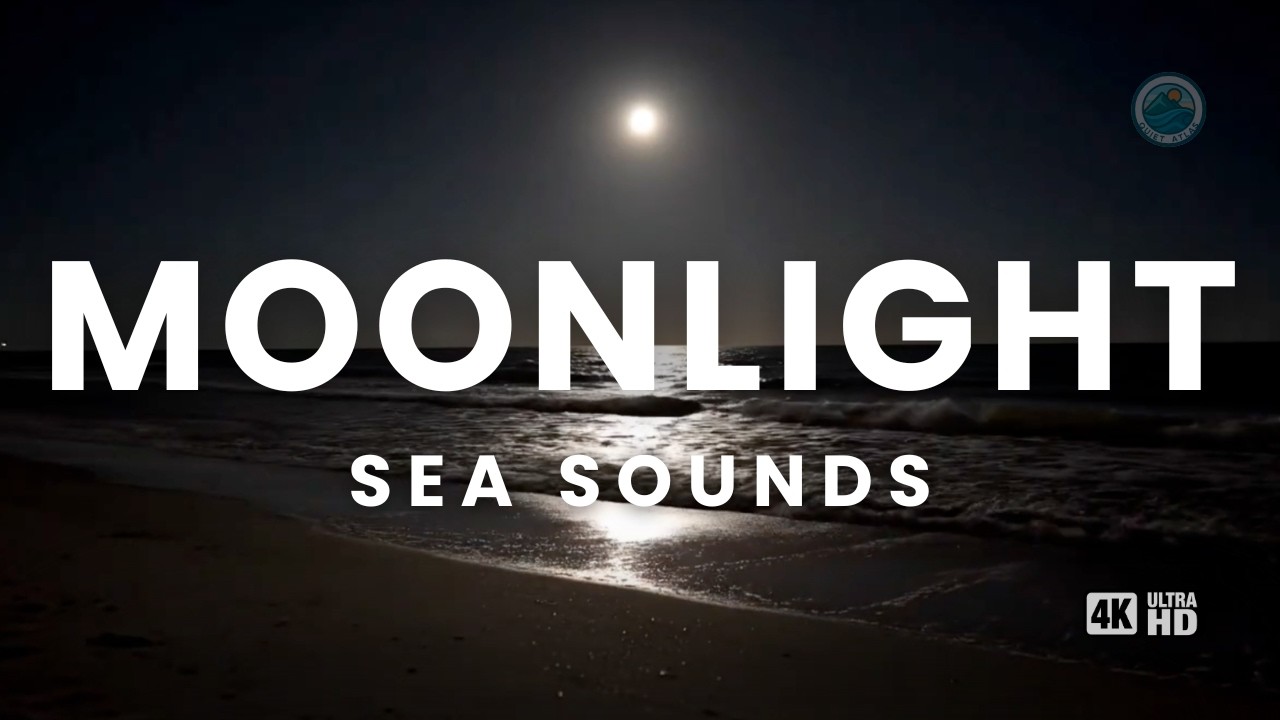 Crashing Waves in Moonlight | 8 Hours of Sleep & Meditation