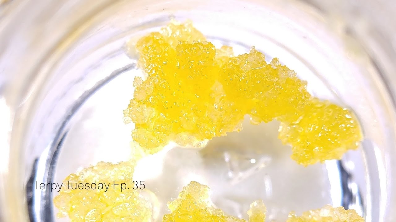 Quality Over Quantity Unrivaled Meds Dictator OG: Terpy Tuesday Ep. 34