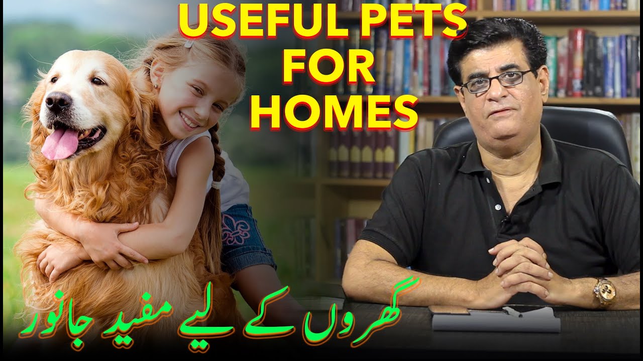 Useful pets for homes | گھروں کے لیے مفید جانور | Humayun Mehboob