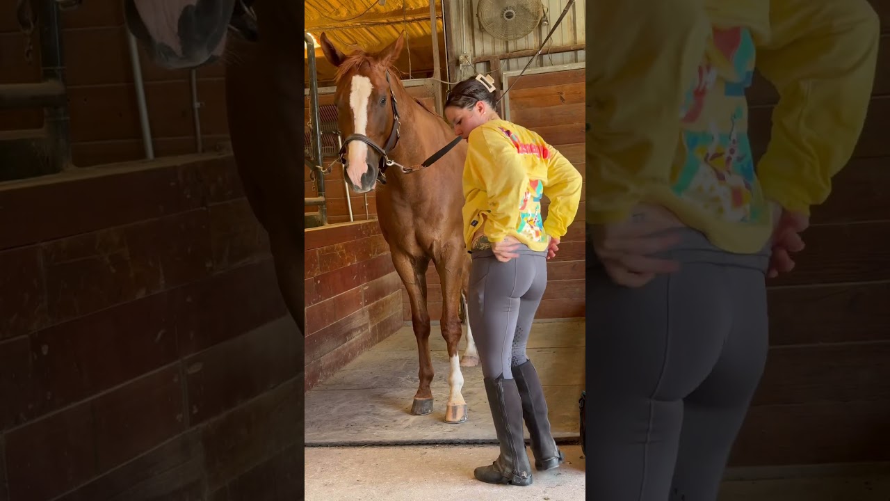 Barn day best day