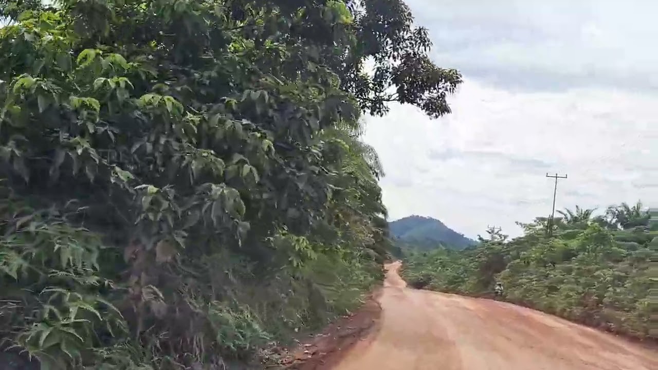 Kondisi jalan Lembah Hijau Nanga Tayap Ketapang Update 6 Juli 2025