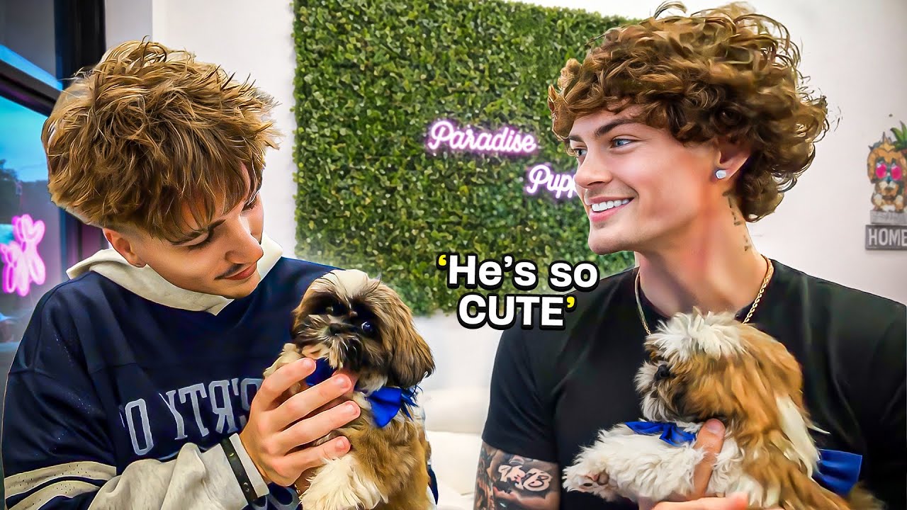 We Got A New Puppy…