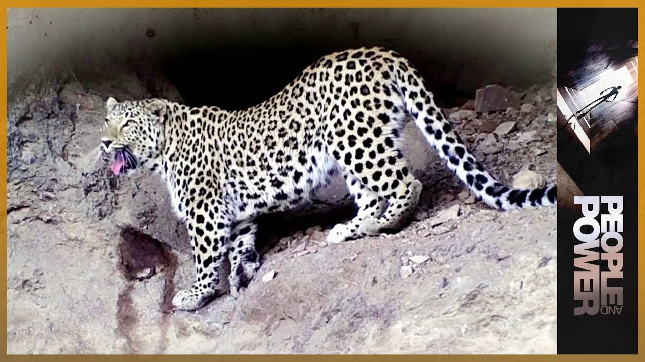 🇦🇲 Armenia: Mining Out the Leopard | People and Power
