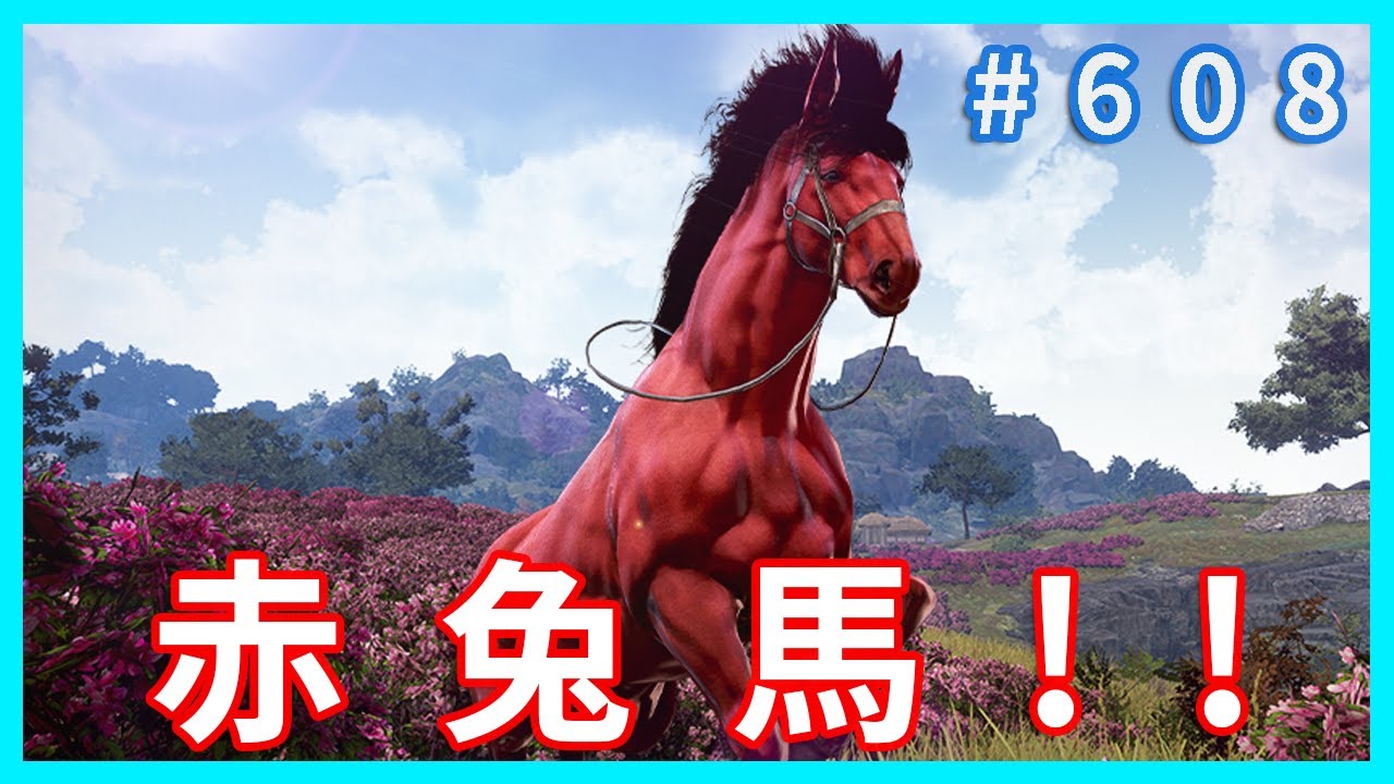 馬年活動  送赤兔馬  明天可能的活動 去韓服更新看看 ! ! 歡迎提問閒聊~ ~黑色沙漠 blackdesert