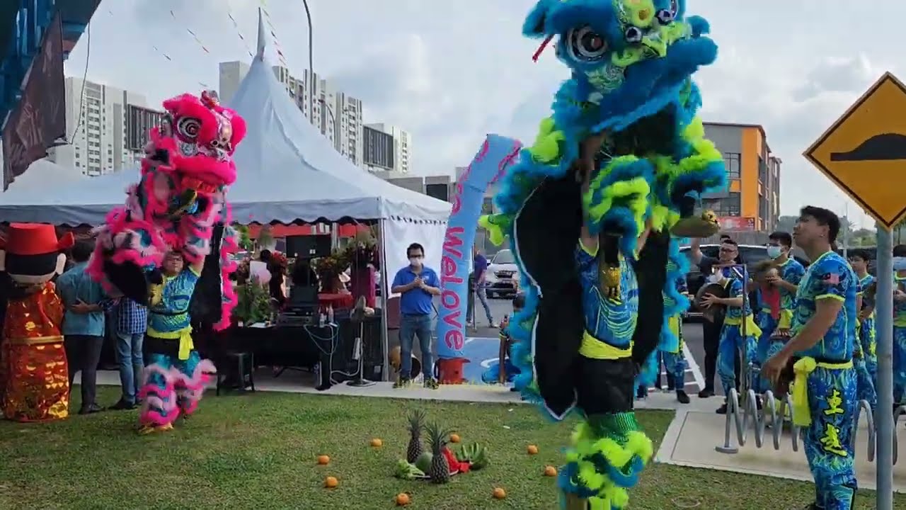 雪隆蒲种卓越龍狮体育会 Brilliant Lion & Dragon Dance Team at the grand opening of TBC Elektrik Tropicana Aman