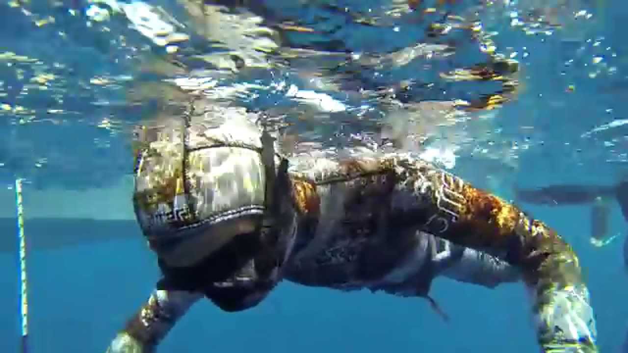 Discesa apnea in assetto costante su cavo - 26 metri con Michele Giurgola a Taranto