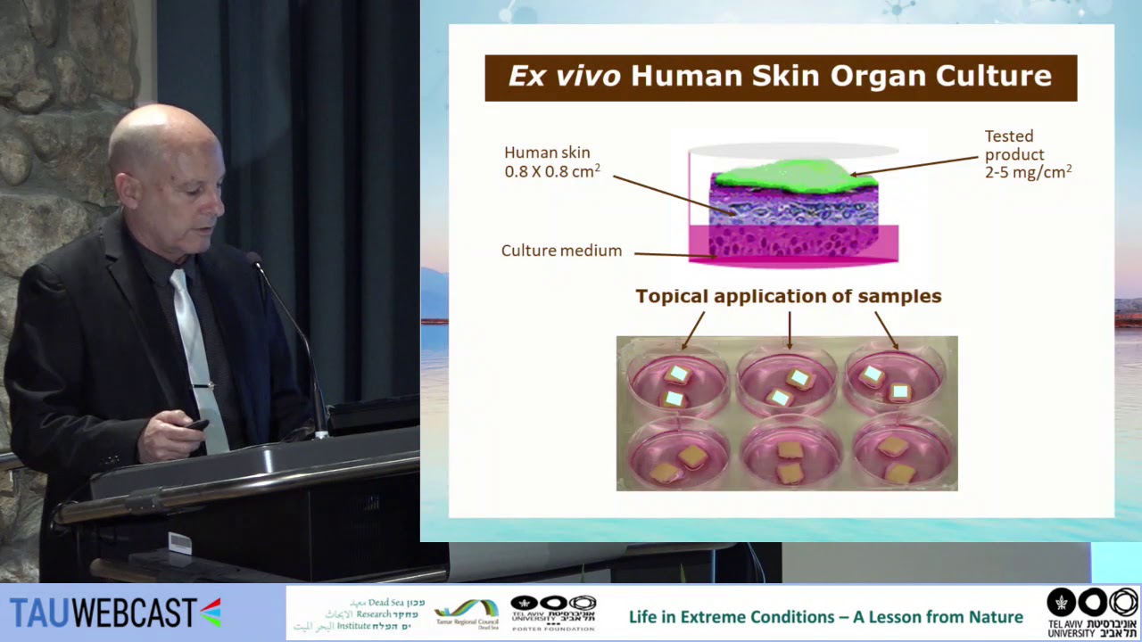 Dead Sea Skin Research &ndash; New Findings in Treatments & Products