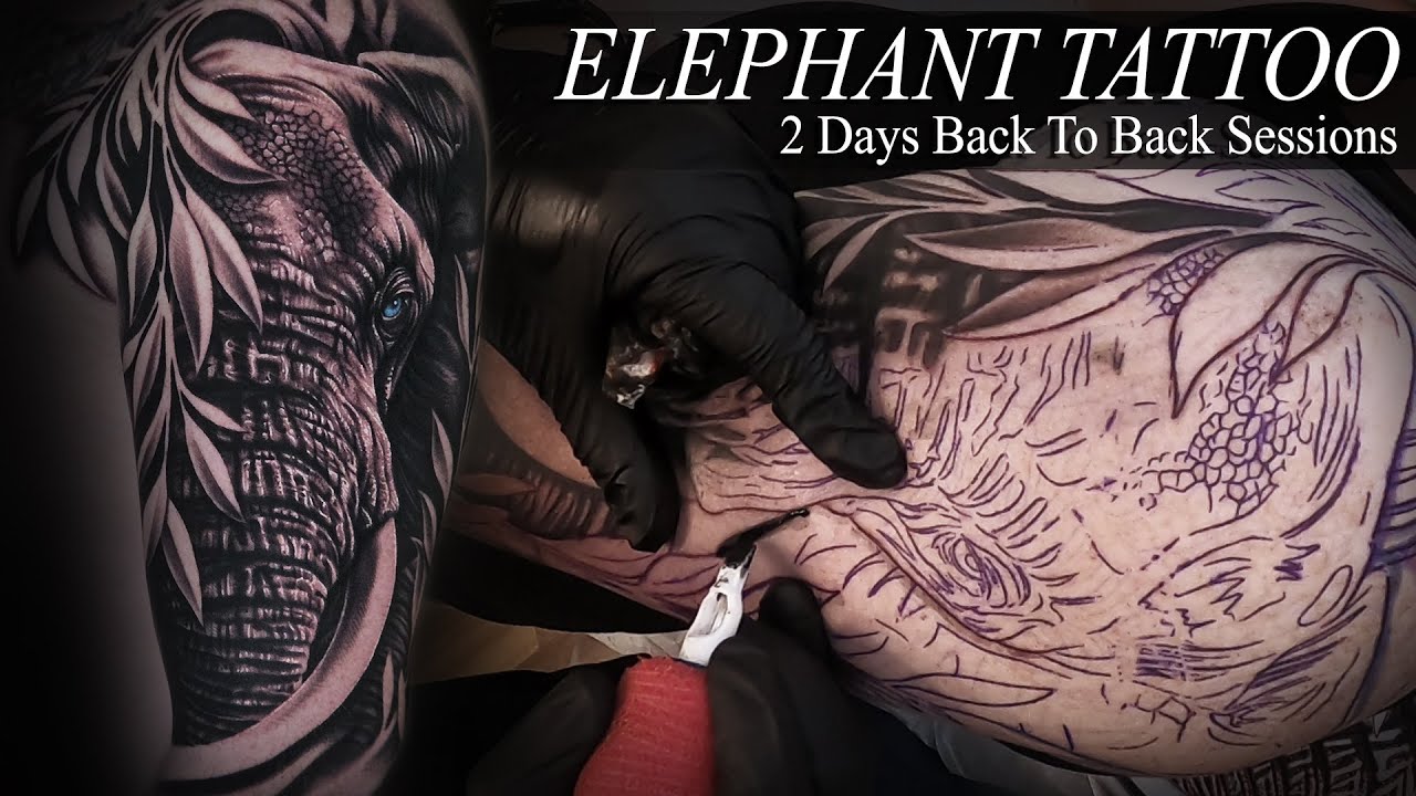 ELEPHANT TATTOO | Back To Back Sessions