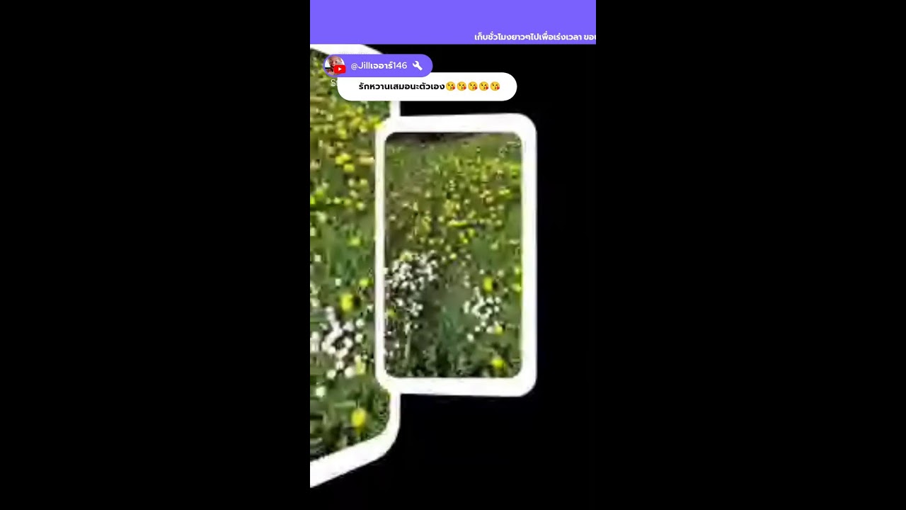 สวัสดีวันพุธ เก็บต่อไป