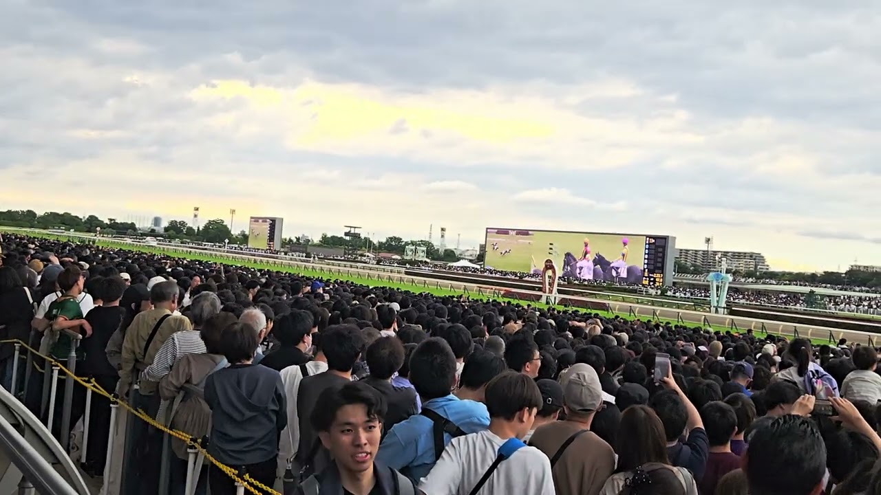2025/6/1　 第92回 日本ダービー(G1)　東京競馬場