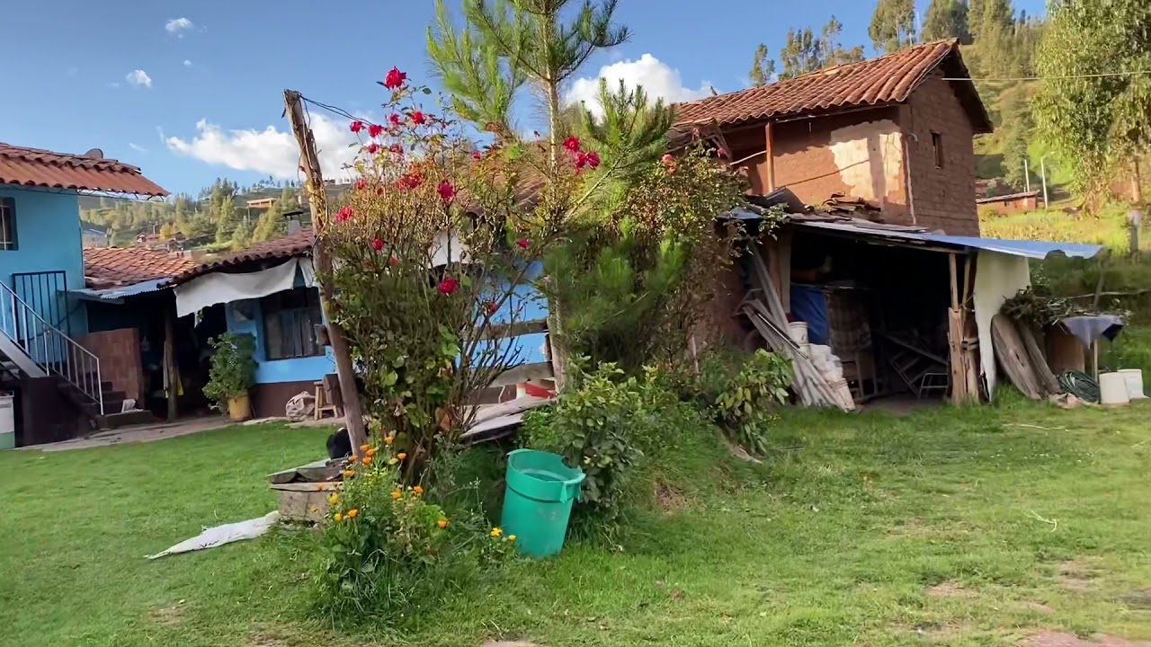 Ventajas de vivir en el campo, parte 1: en plena propiedad.