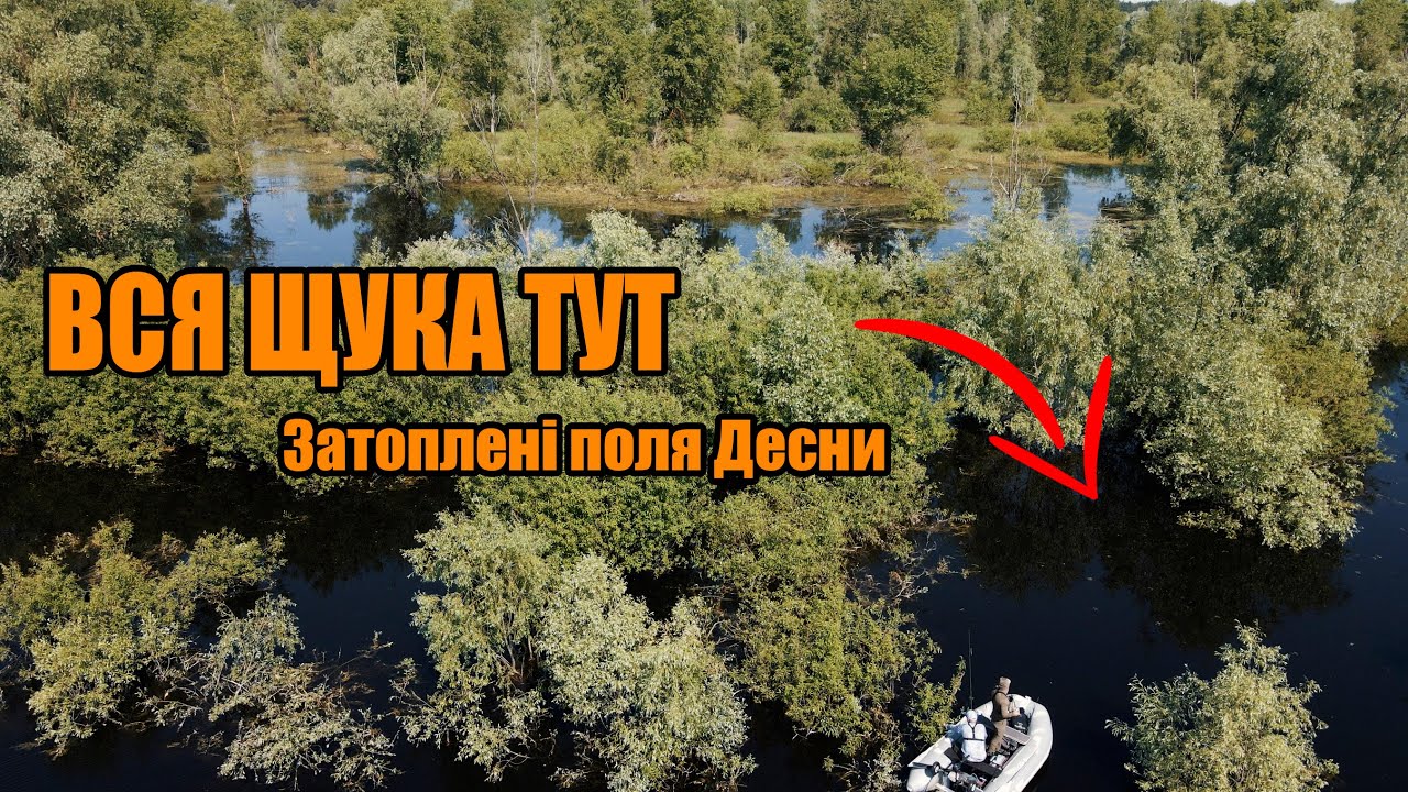ВСЯ РИБА В ЗАТОПЛЕНОМУ ЛІСІ. Пошук щуки з човна 2023