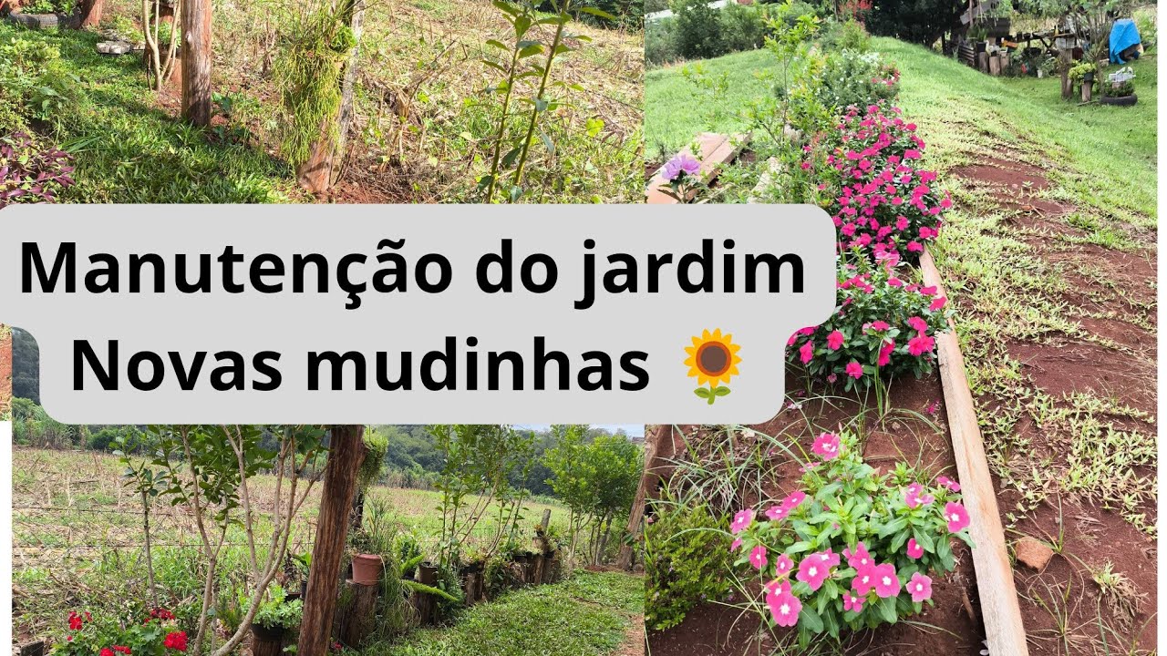 Manutenção do jardim- Sítio do zero 