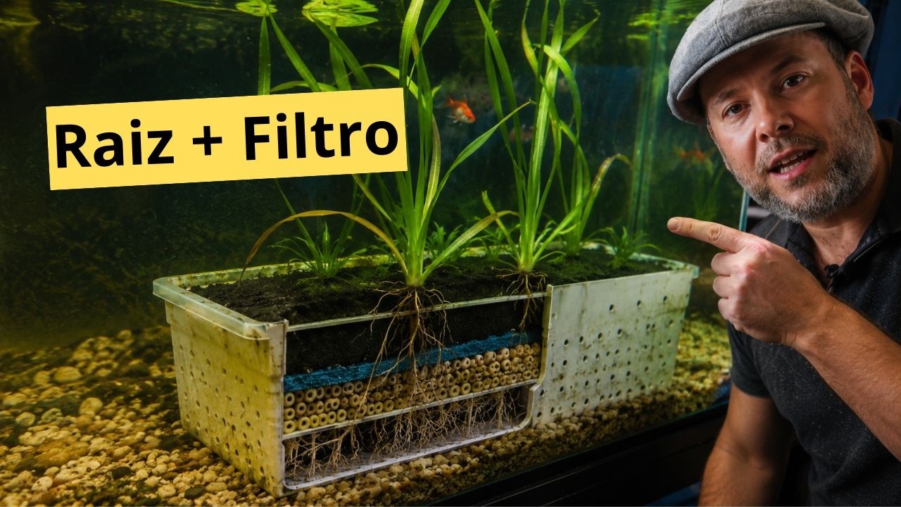 🧪 Cesta De Biocenose Aquarismo Sereno 05: Construindo o BIORREATOR Perfeito