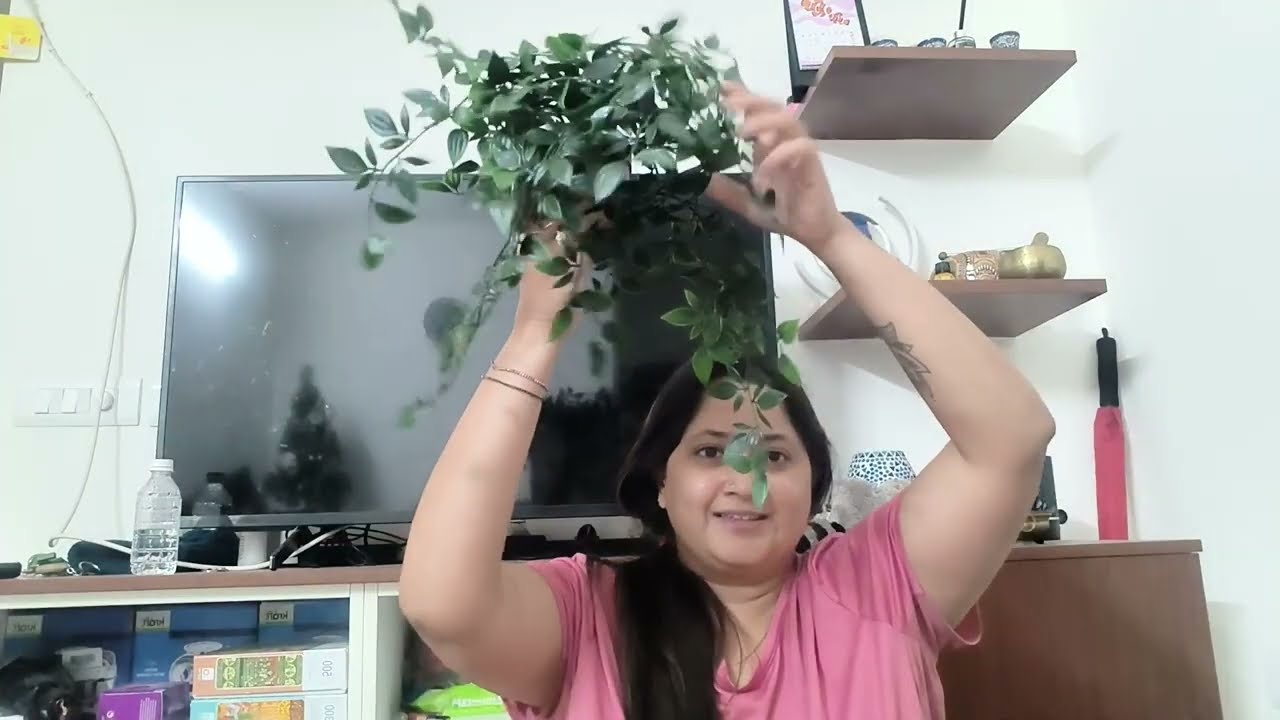 Ikea Haul - Big shopping list! #haul #shopping #ikeabangalore 