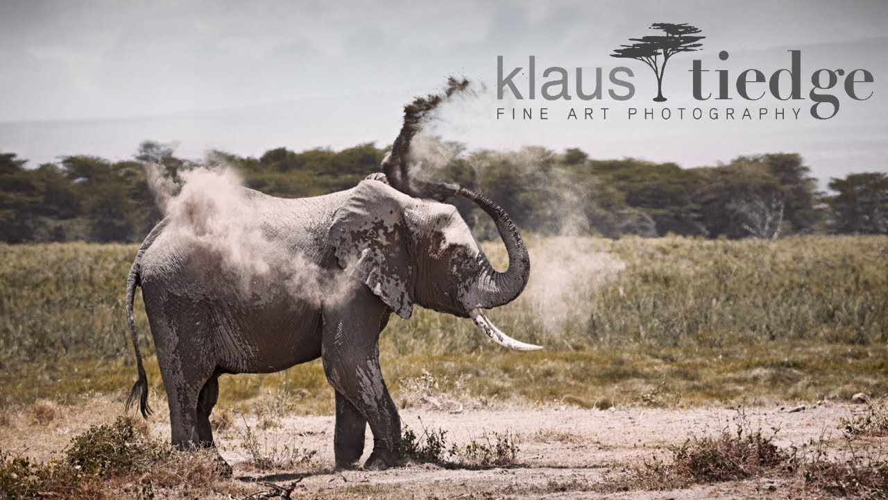 How do you plan a photo safari trip? - Wildlife Photographer Klaus Tiedge