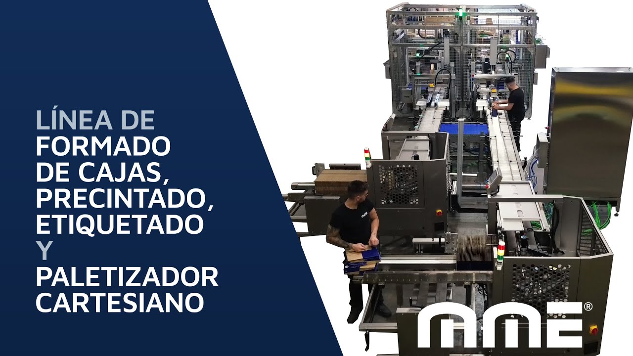 MME - Línea de formado de cajas, precintado, etiquetado y paletizador cartesiano