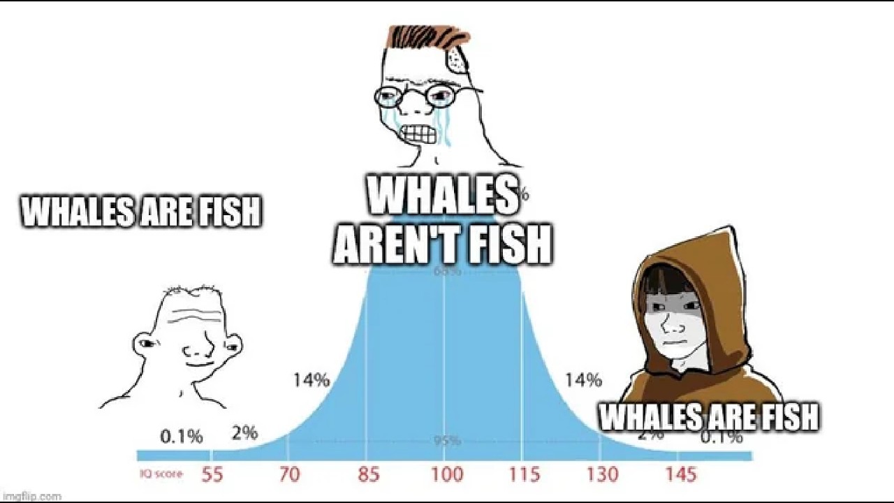 Sharks Aren't Fish