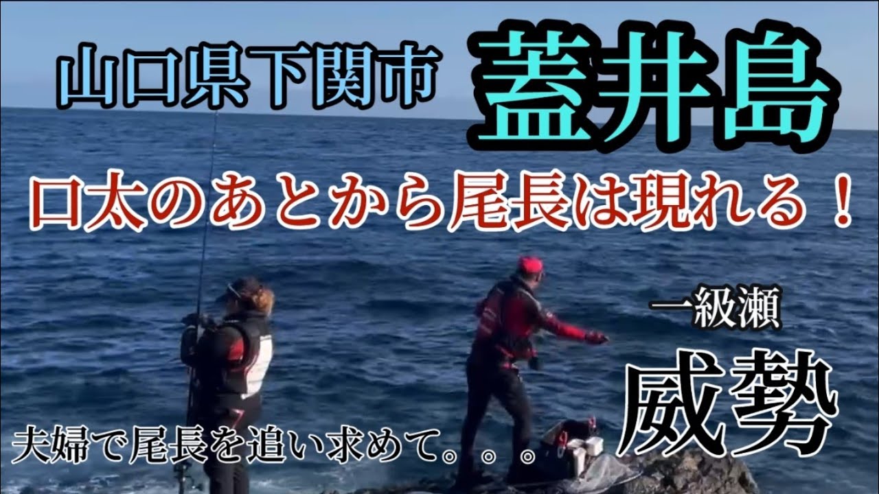 山口県下関市　磯釣り一級ポイント大威勢　夫婦でほんわか磯釣りもできる！夫婦、恋人で磯釣り！色んな顔を持つ蓋井島ご紹介！！#磯釣り#フカセ釣り #磯釣り渡船 #夫婦で釣り#磯釣り初心者🔰必見！