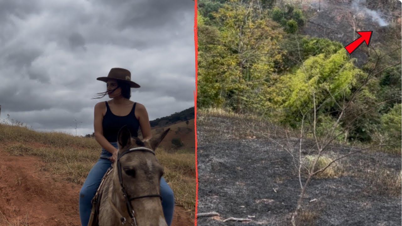 FOMOS CONFERIR A CERCA DE TRÁS E DESCOBRIMOS QUE ATEARAM FOGO  NO NOSSO PASTO 😱