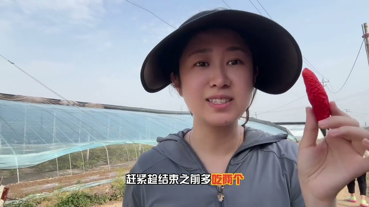 今天跟着婆婆一起去地里摘豌豆，摘蒜薹。这些都是每年应季常吃的菜，但没见过在地里什么样，今天也算是长见识了#记录真实生活 #日常vlog #婚后日常 #婆媳 #种菜 @DOU+小助手 @抖音小助手 @